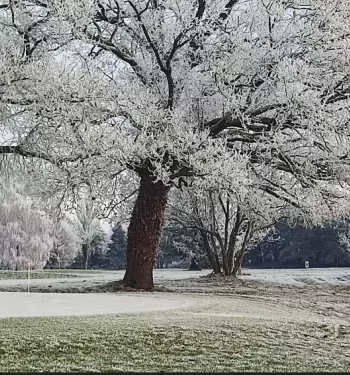 Information – Accès aux parcours